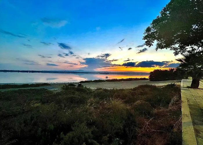 Lina 25 لارنكا